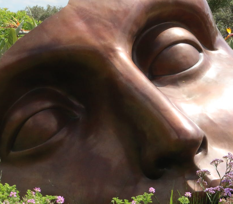 art beautiful bloom blooming