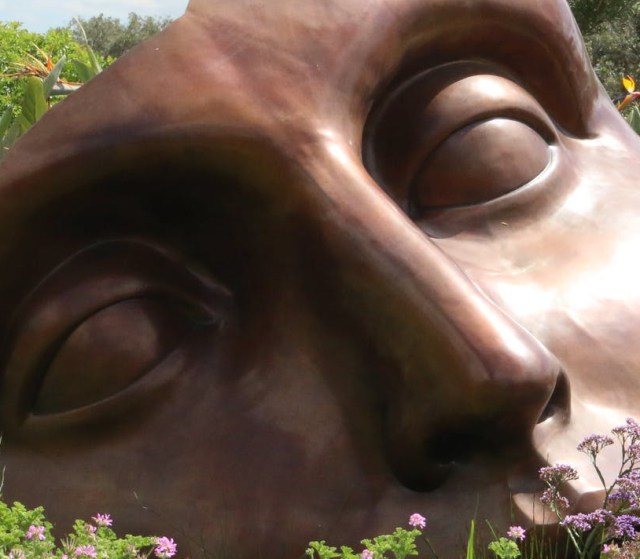 art beautiful bloom blooming